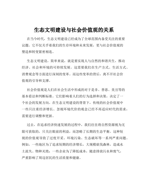 生态文明建设与社会价值观的关系