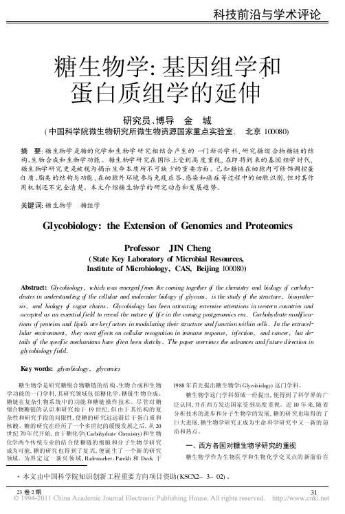 糖生物学_基因组学和蛋白质组学的延伸