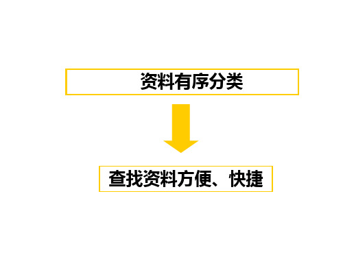 第五课 分类整理信息