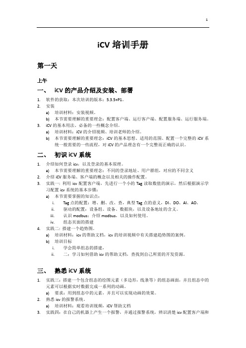 iCV培训手册