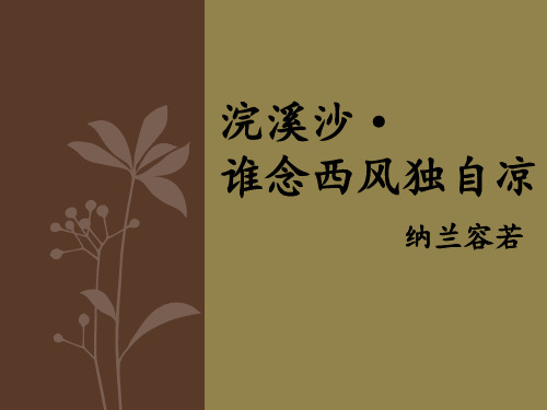 浣溪沙谁念西风独自凉写作背景【清】纳兰性德