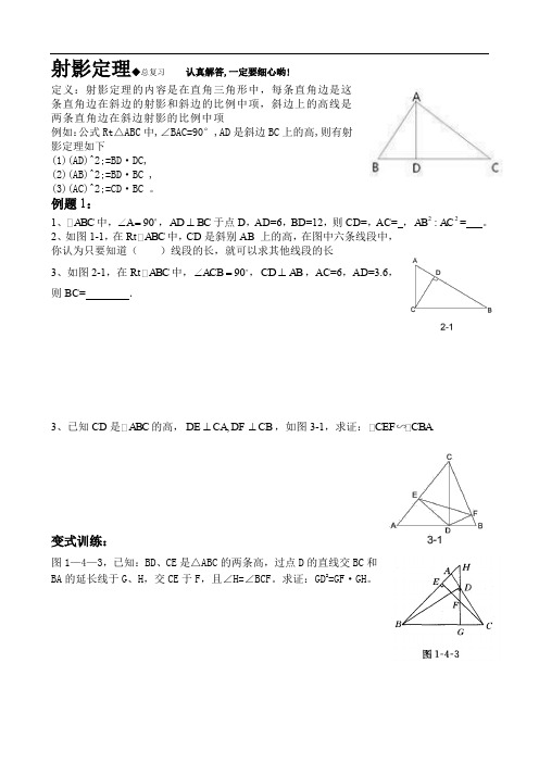 射影定理复习题.doc