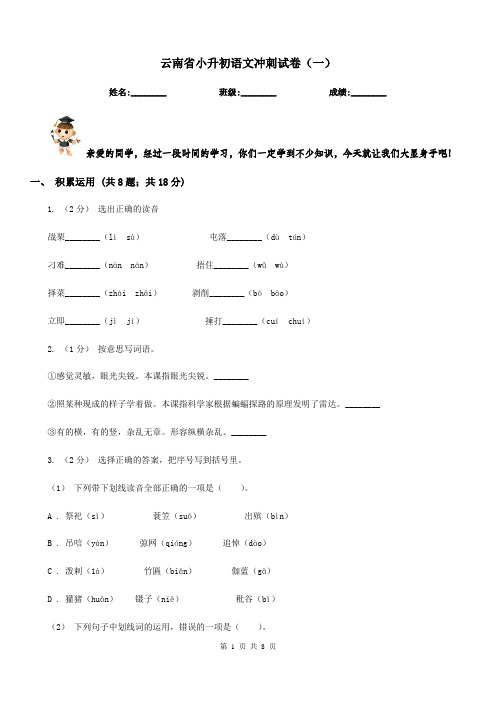 云南省小升初语文冲刺试卷(一)