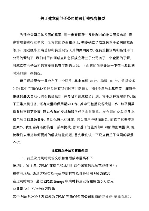 关于成立荷兰子公司的可行性报告概要