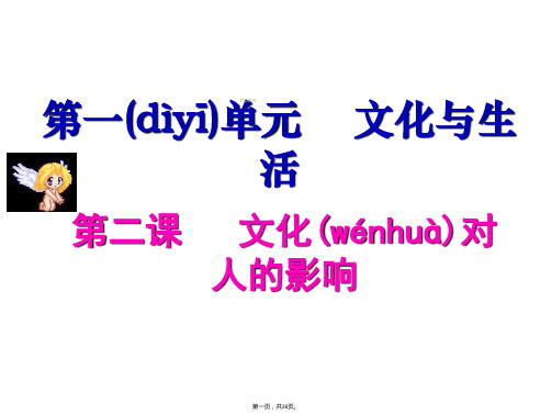 湖南省怀化市溆浦县第三中学高中政治课件必修三12文化对人的影响共27张