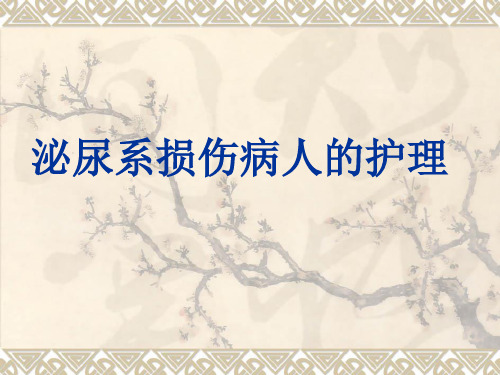 泌尿系损伤病人的护理