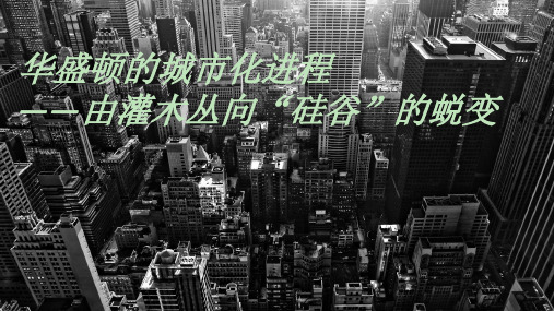 华盛顿城市化进程