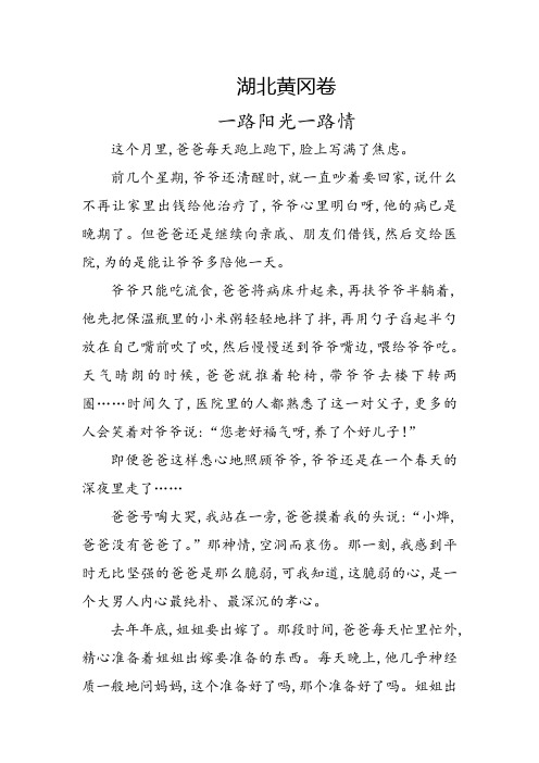 湖北2018年中考满分高分作文