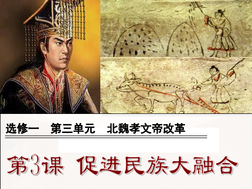 历史：3.3《促进民族大融合》课件3(人教版选修1)