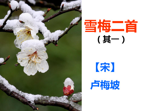 部编版小学语文四年级上册第9课古诗三首《雪梅》名师优质课ppt课件