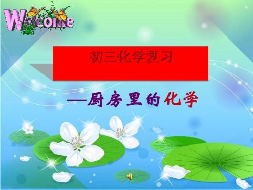 初三化学复习——厨房里的化学PPT课件 人教版