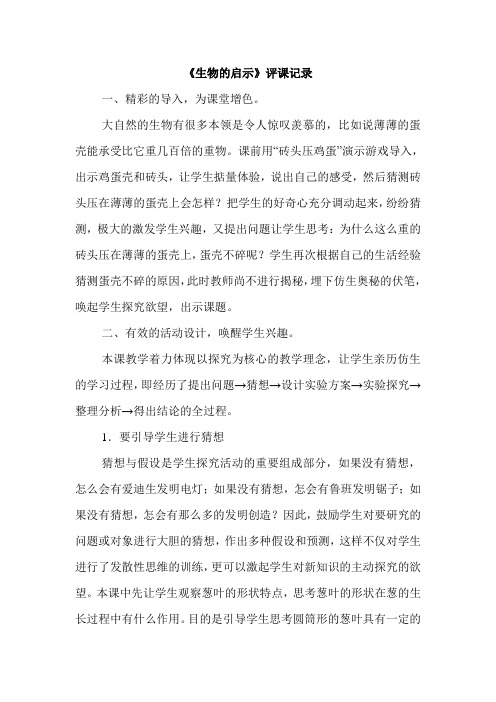 青岛版小学六年级科学下册《生物的启示》评课记录