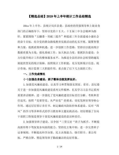 【精选总结】2019年上半年统计工作总结精选