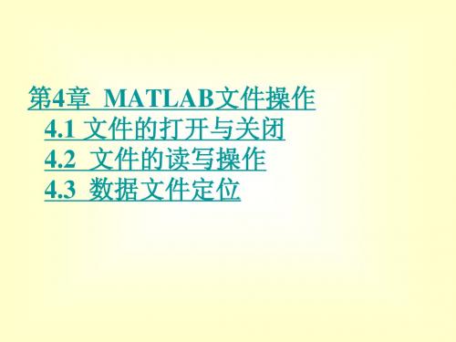 第4章  MATLAB文件操作