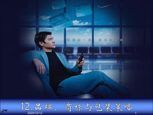 12品牌、商标与包装策略
