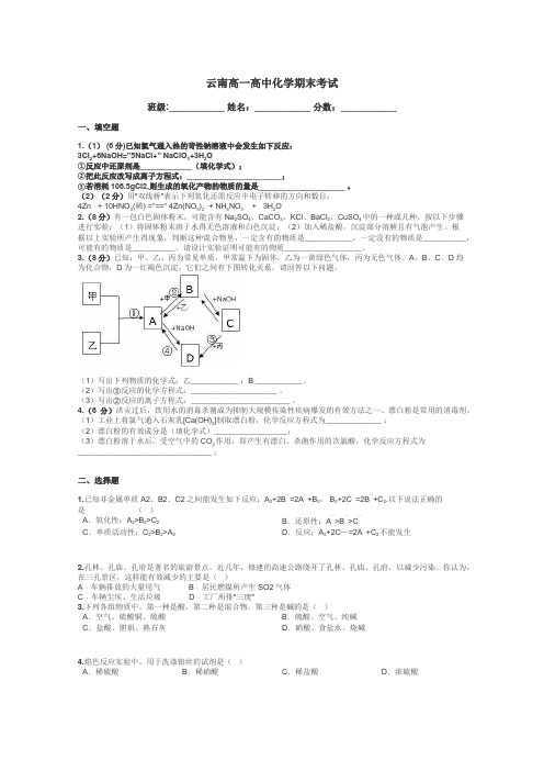 云南高一高中化学期末考试带答案解析
