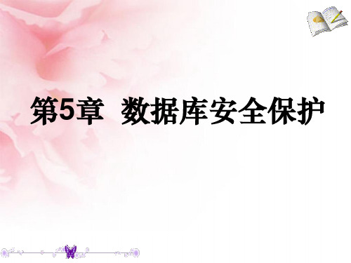 第5章数据库安全保护(安全性控制补充内容)精品PPT课件