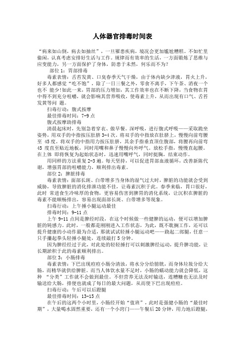 人体器官排毒时间表