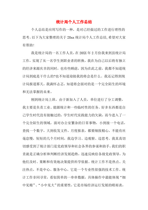 2019年统计局个人工作总结