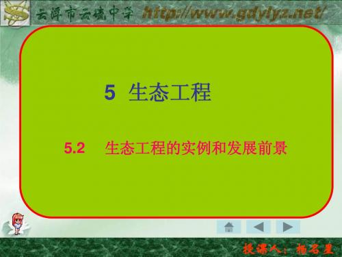 生态工程的实例和发展前景