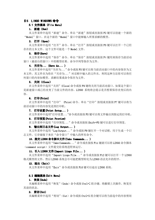 5、Lingo中的Windows命令