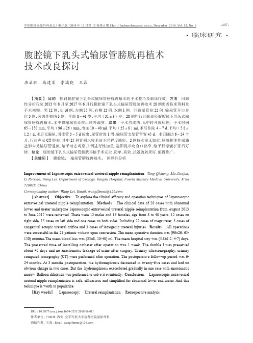 腹腔镜下乳头式输尿管膀胱再植术技术改良探讨