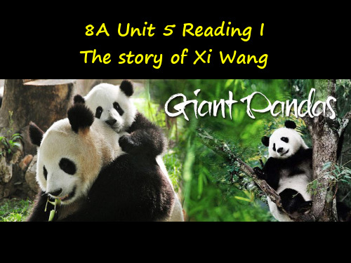牛津译林英语八年级上册unit5Reading 1(共30张PPT)