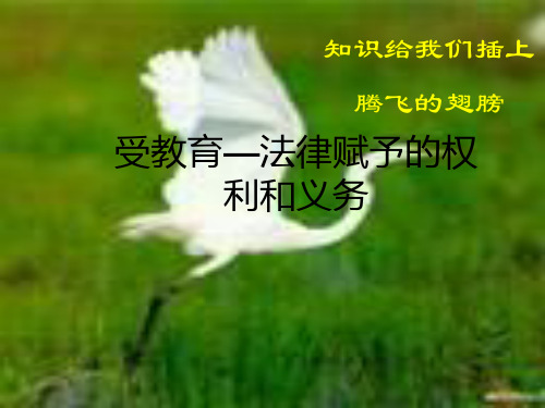 受教育-法律赋予的权利和义务PPT课件
