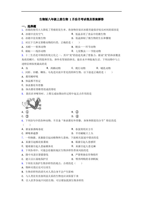 生物版八年级上册生物 1月份月考试卷及答案解答