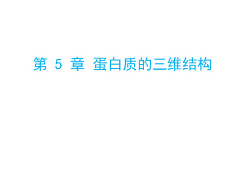 5 蛋白质的三维结构