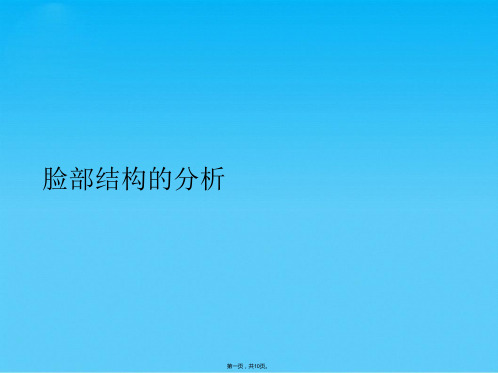 脸部结构的分析(共10张PPT)