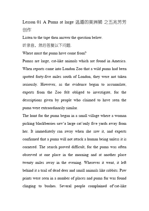 Lesson 01 A Puma at large