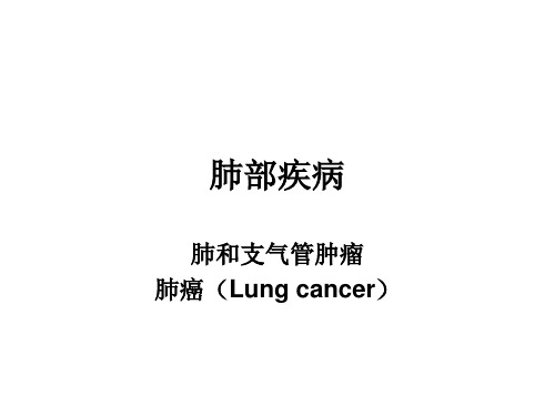 肺部疾病ppt