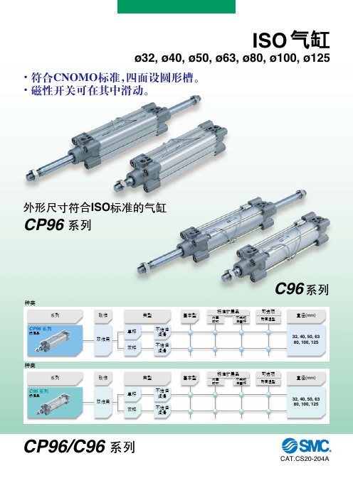 CP96_C96