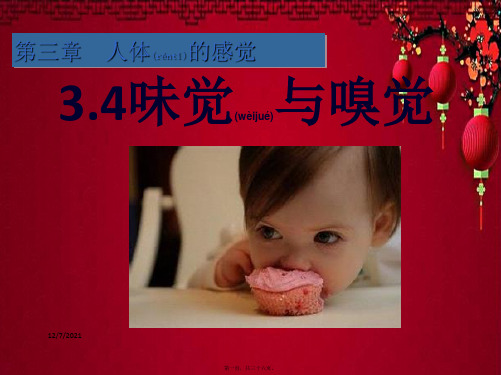 八年级科学下册 第3章 人体的感觉 4 味觉与嗅觉课件(2) 华东师大级下册自然科学课件