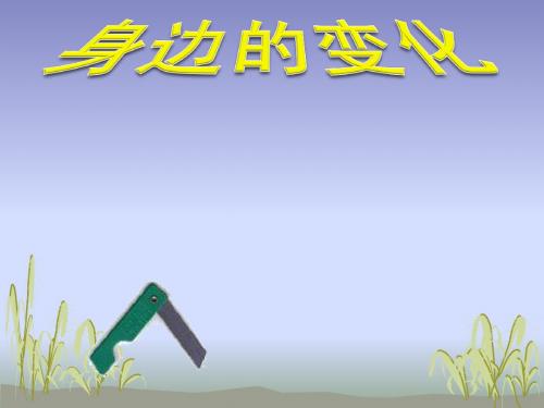 苏教版六年级品德与社会下册《科学技术的喜与忧(一)》ppt课件