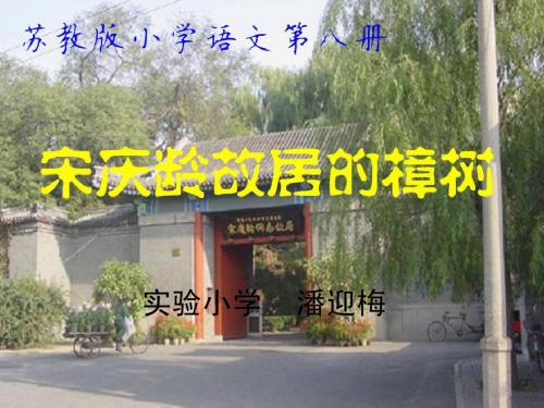 苏教版小学语文第八册《宋庆龄故居的樟树》第二课时PPT