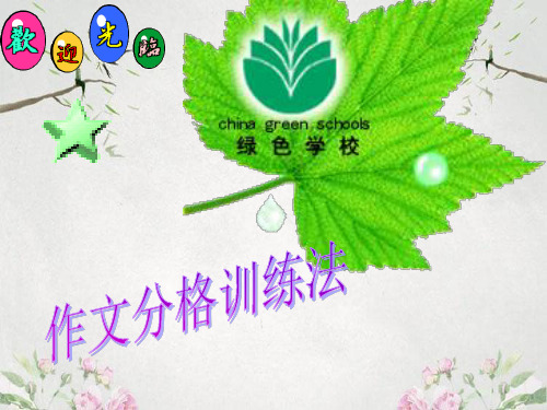 作文-初中作文分格训练法ppt优秀PPT