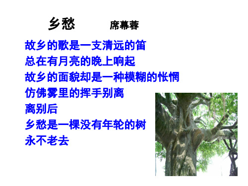 故乡的榕树(最好)ppt