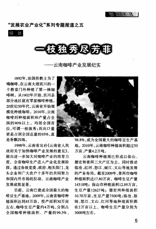 一枝独秀尽芳菲——云南咖啡产业发展纪实