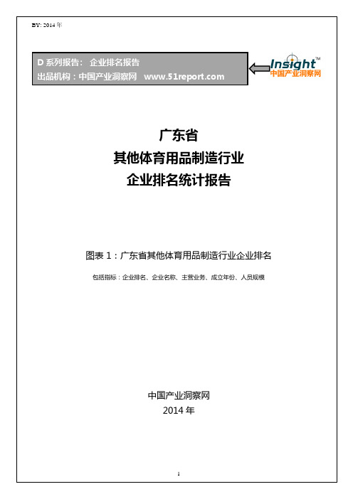 广东省其他体育用品制造行业企业排名统计报告