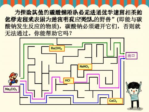复分解反应及应用的复习
