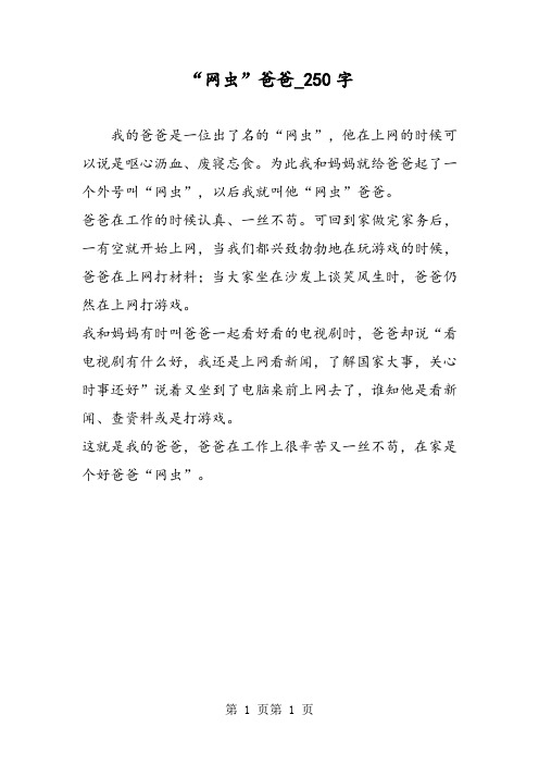 最新精品作文：“网虫”爸爸_250字作文