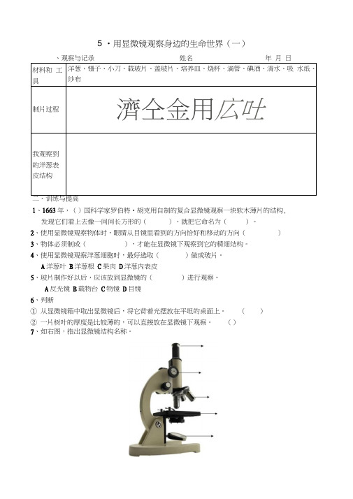 六年级下册科学试题-1.5用显微镜观察身边的生命世界(一)｜教科版