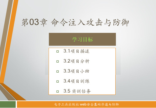 第03章 命令注入攻击与防御[76页]