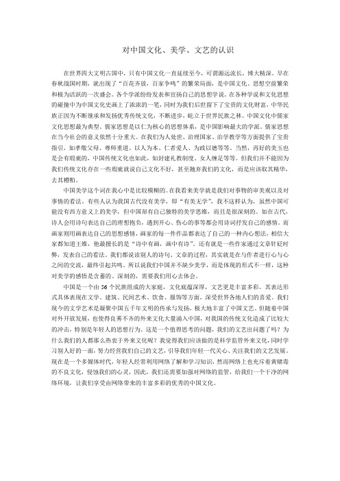 对中国文化、美学、文艺的认识
