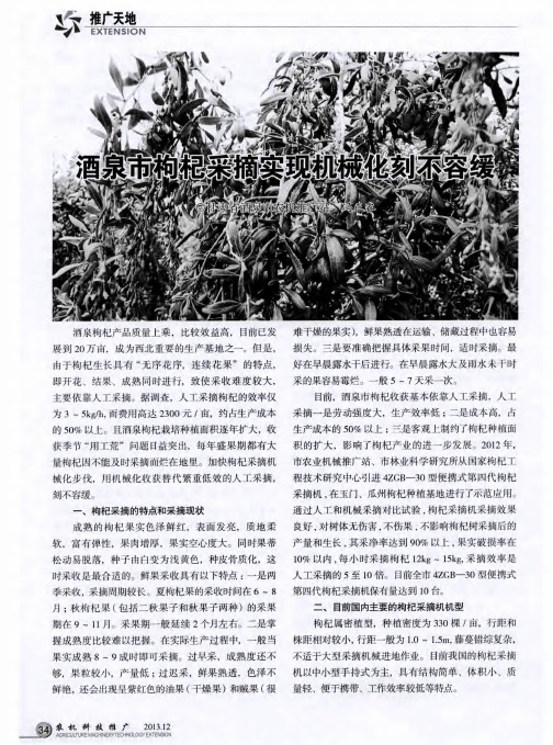 酒泉市枸杞采摘实现机械化刻不容缓