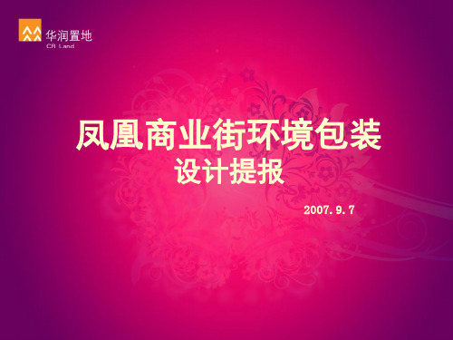 070829凤凰商业街包装