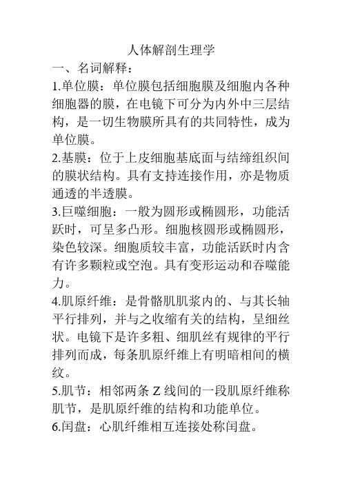 人体解剖生理学
