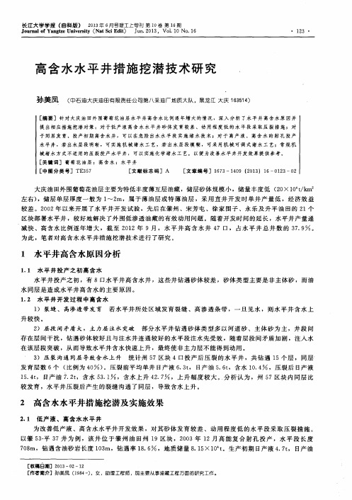 高含水水平井措施挖潜技术研究